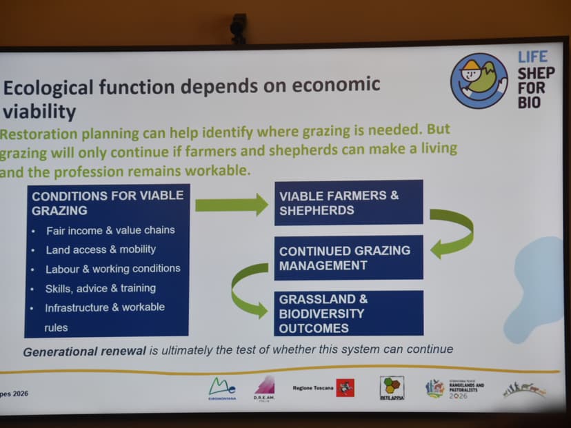 RoMontana, prezentă la Conferința Internațională „Pastoral Landscapes 2026” de la Florența – 3